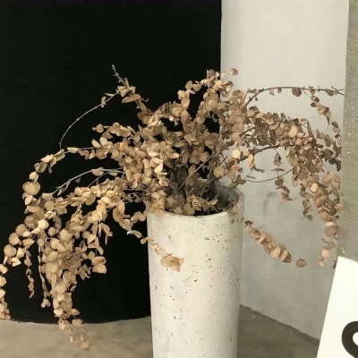 新林福瑞交流群